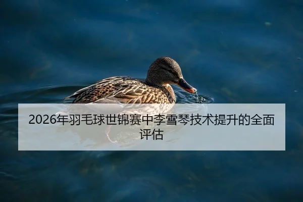 2026年羽毛球世锦赛中李雪琴技术提升的全面评估