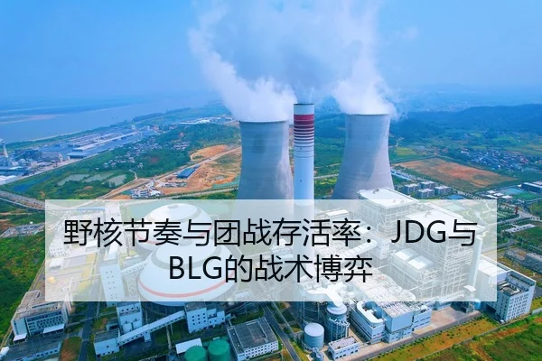 野核节奏与团战存活率：JDG与BLG的战术博弈